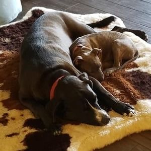 Meet your Posher, Beth